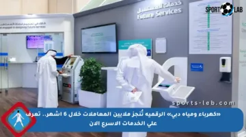 «كهرباء ومياه دبي» الرقمية تُنجز ملايين المعاملات خلال 6 أشهر.. تعرف على الخدمات الأسرع الآن